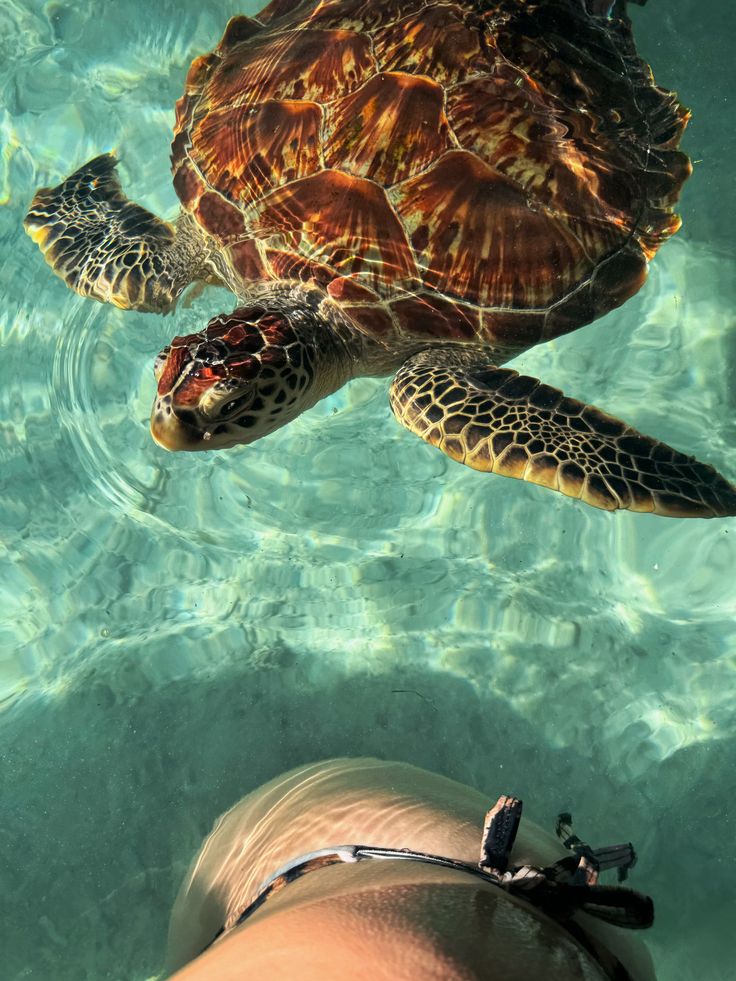 Processed with VSCO with wwf preset