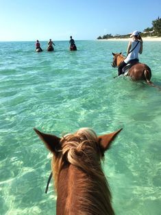 Horse Riding Beach Zanzibar